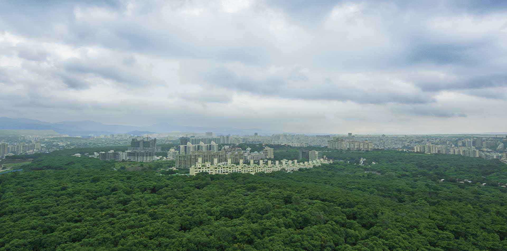 The Ark – Voyage to the Stars Site Plan